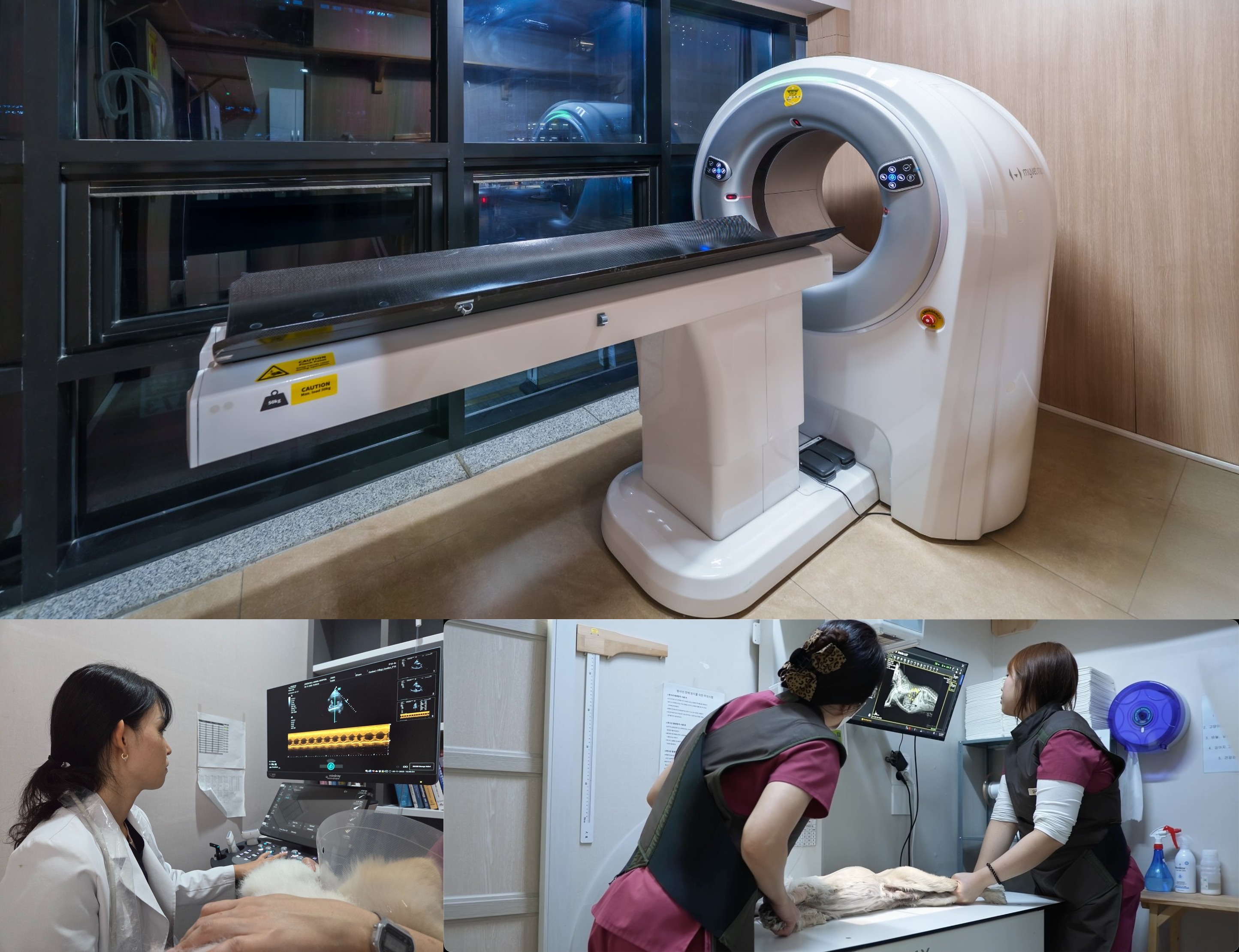 영상 진단 시스템