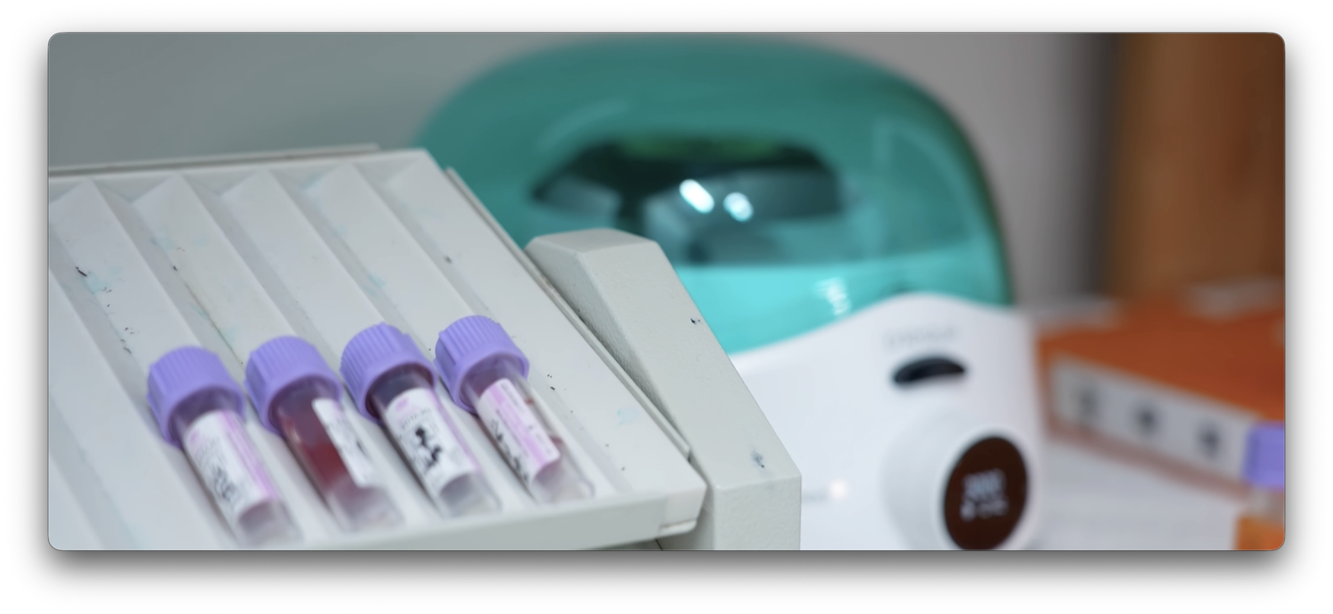 정밀 진단 환경 2