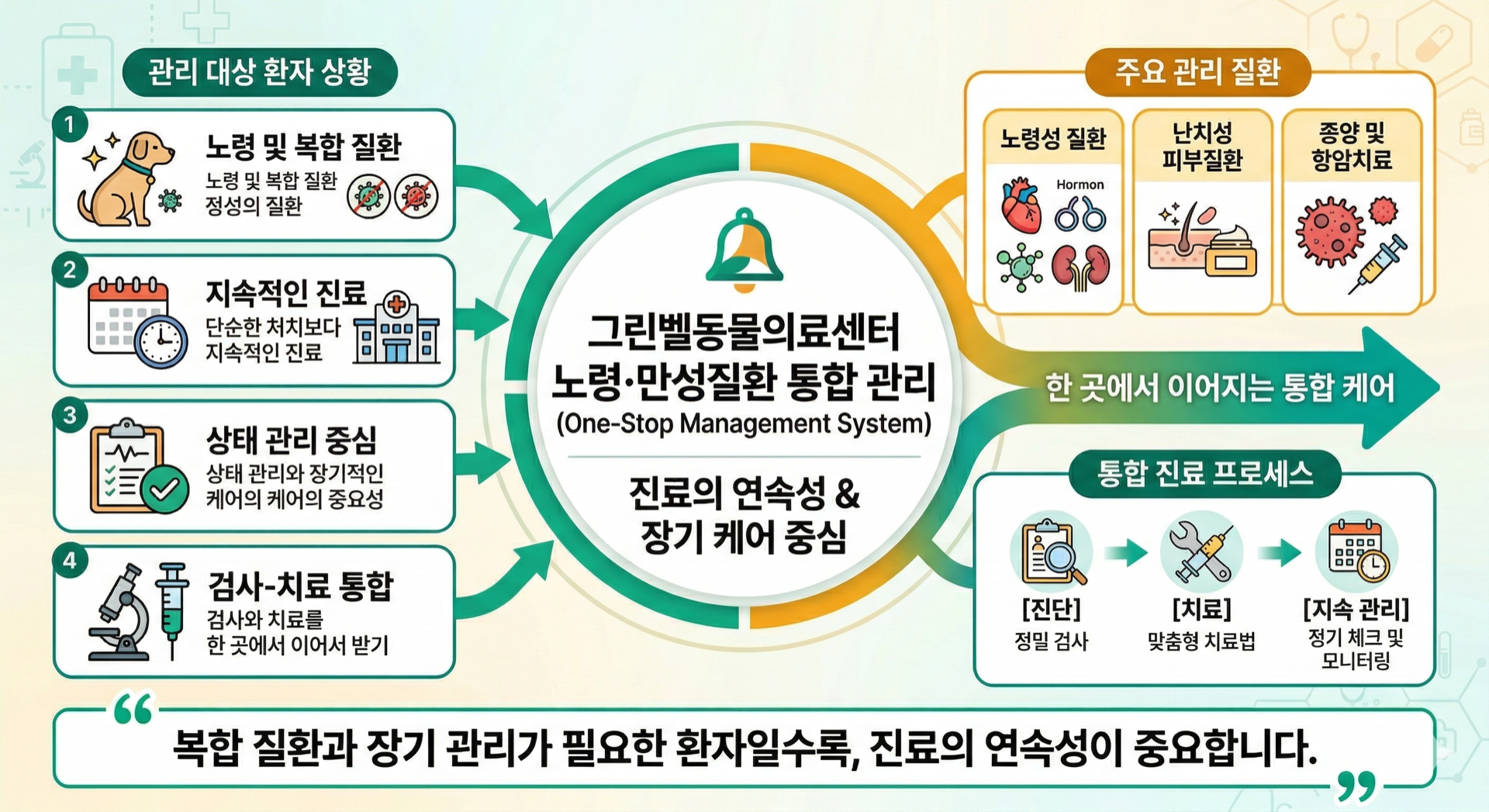 노령·만성질환 관리 인포그래픽