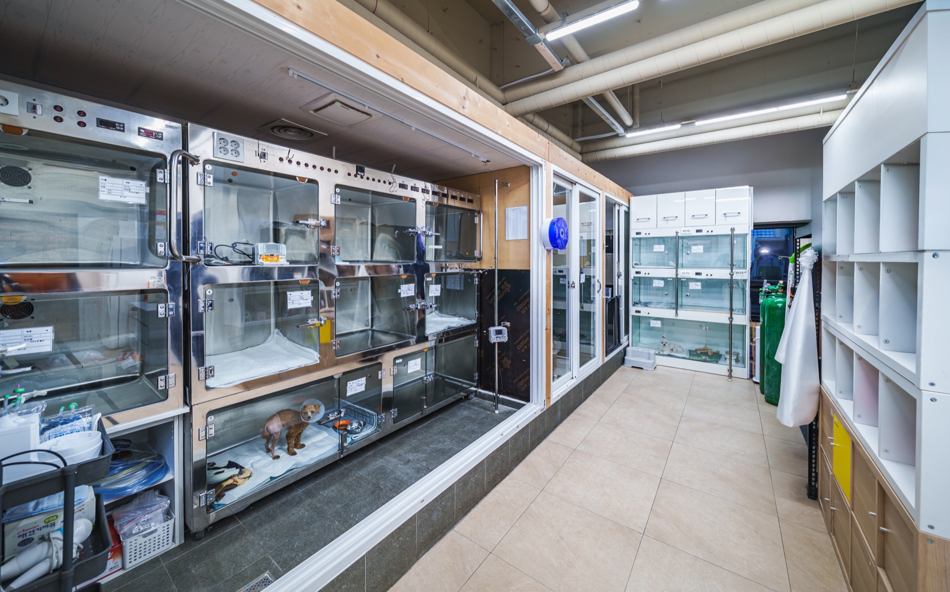 혁신도시점 애견입원실