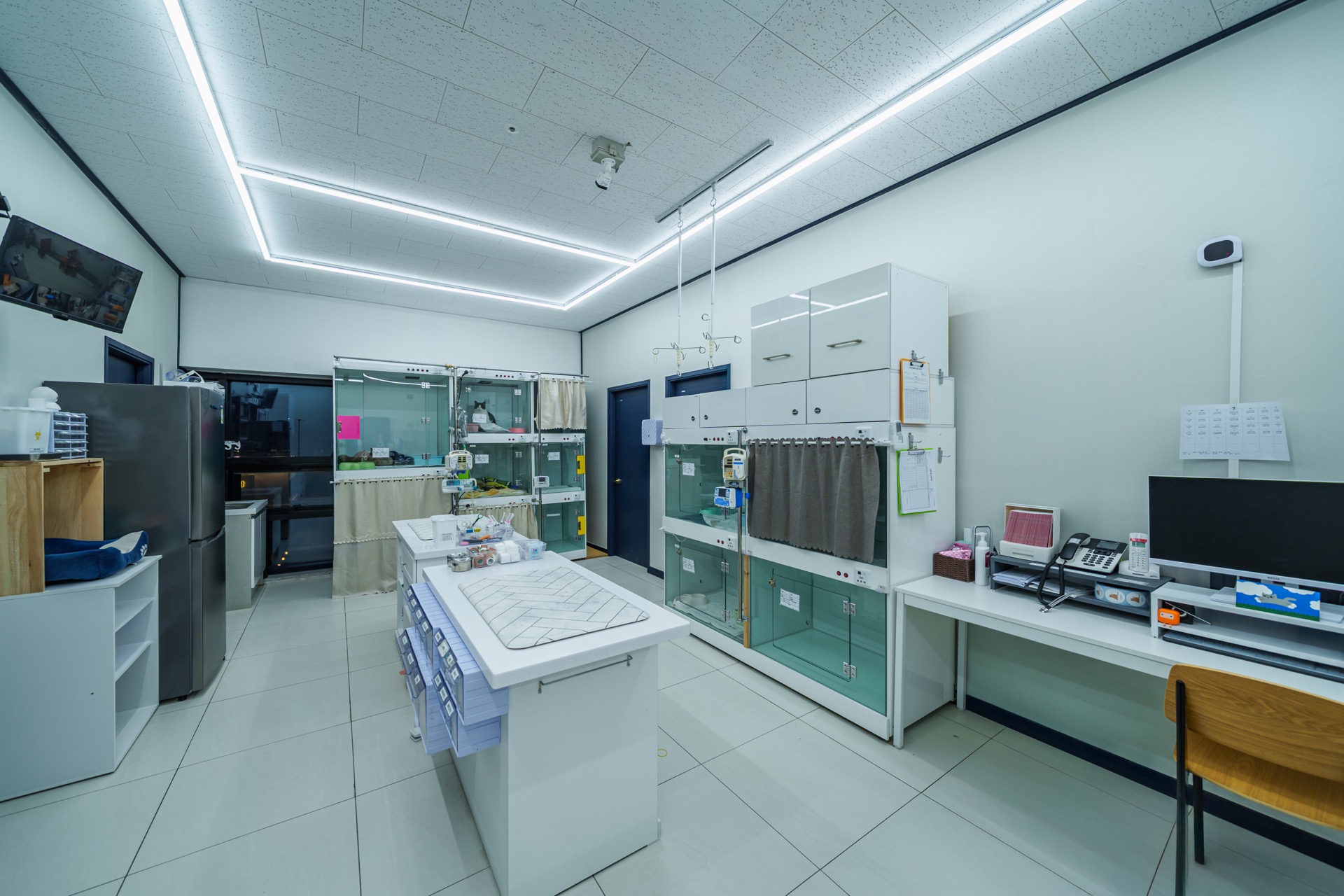 혁신도시점 고양이처치실 및 입원실