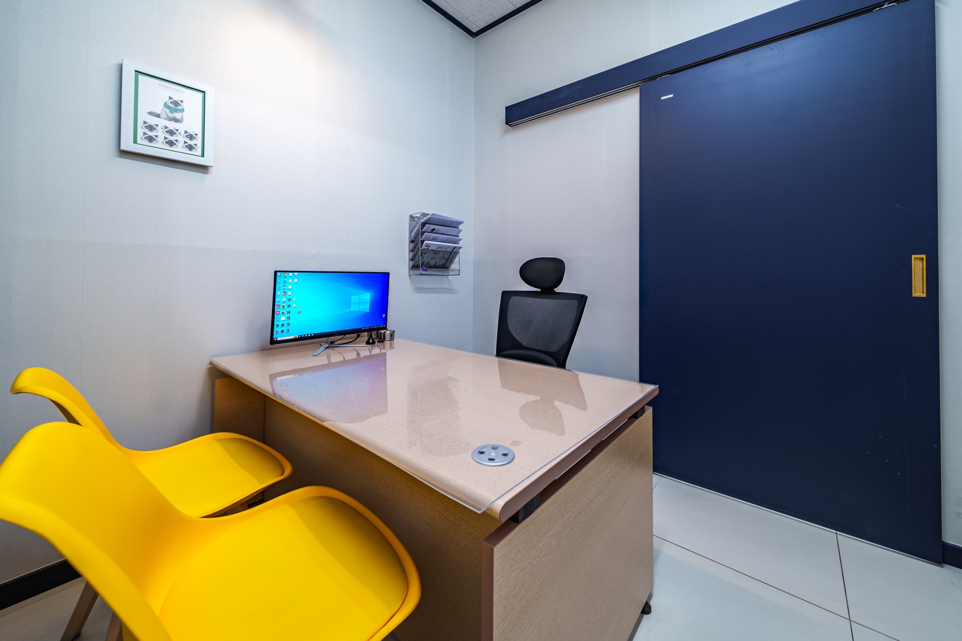 혁신도시점 고양이진료실 3