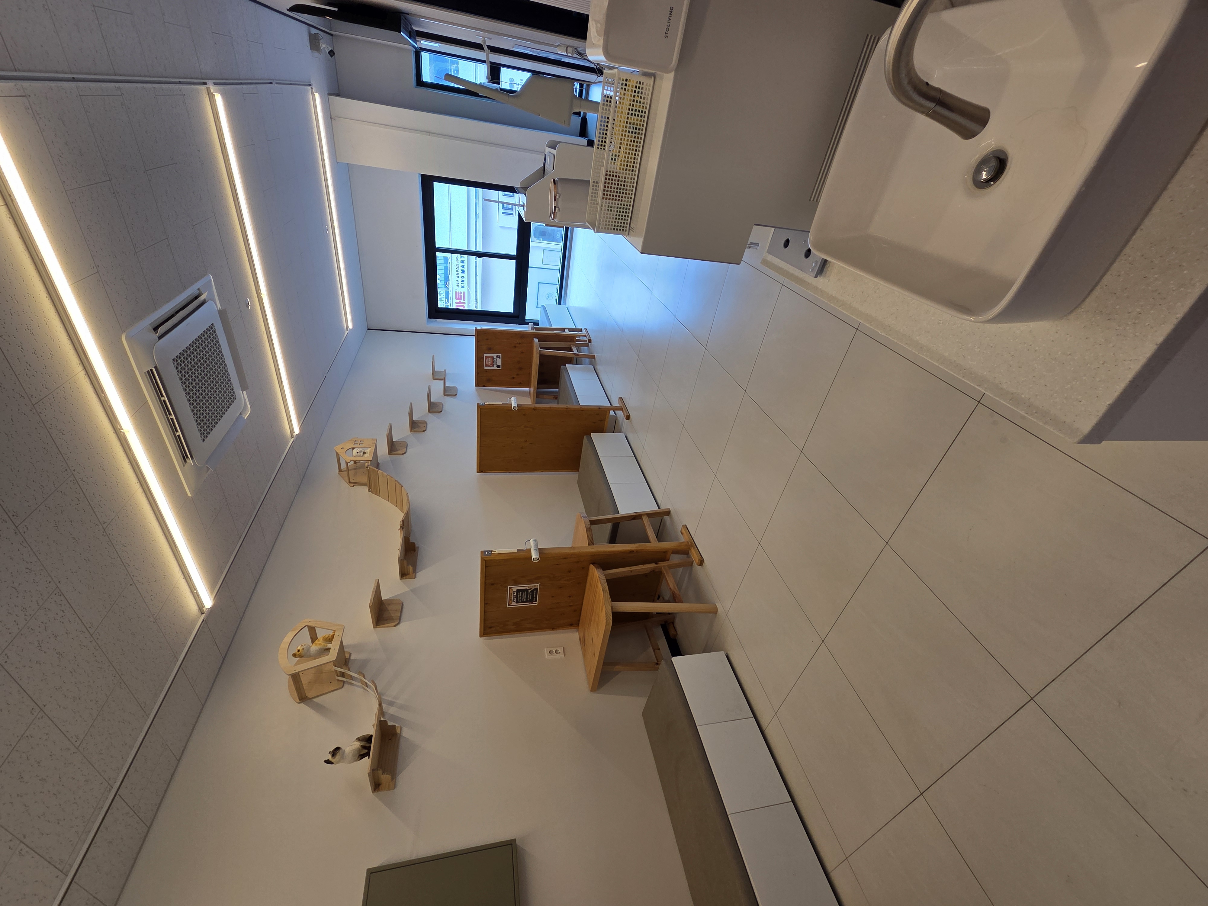 고양이 대기실 2