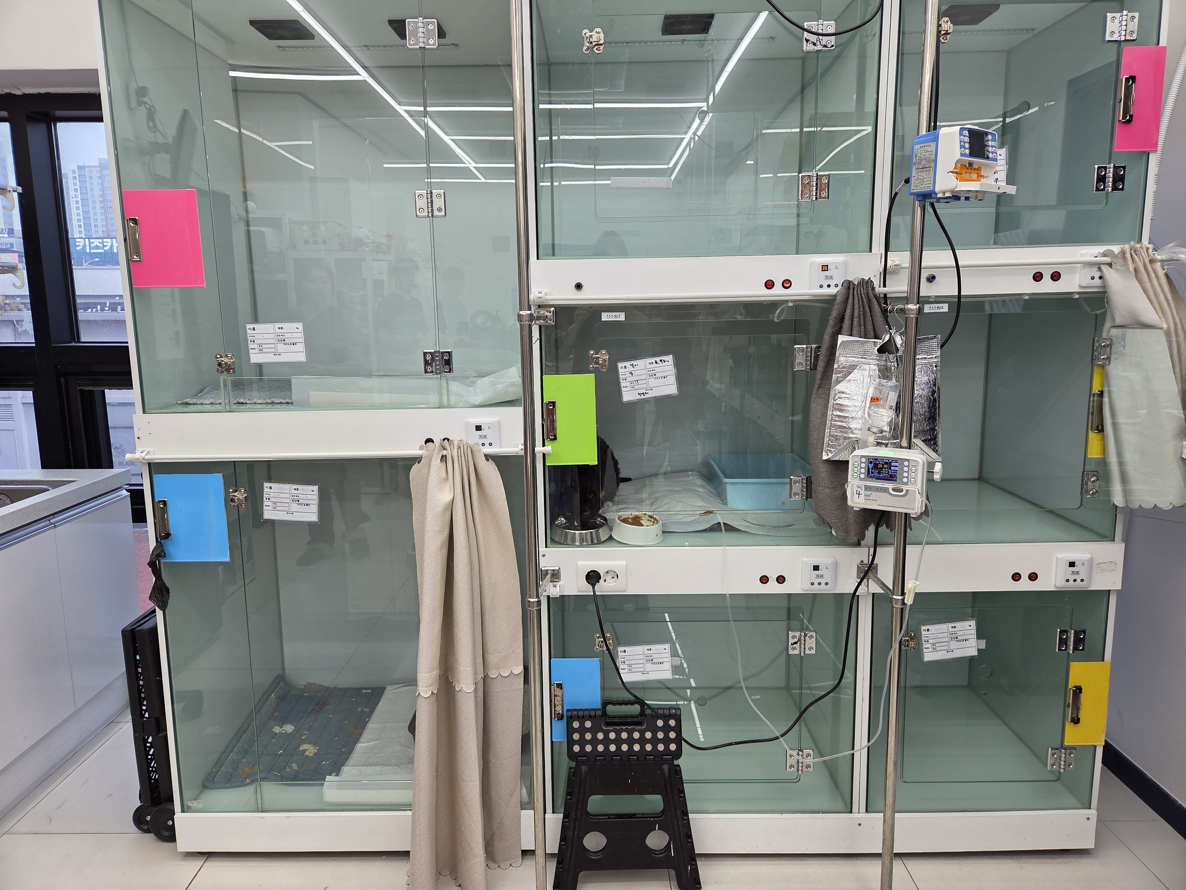 고양이 진료실 1