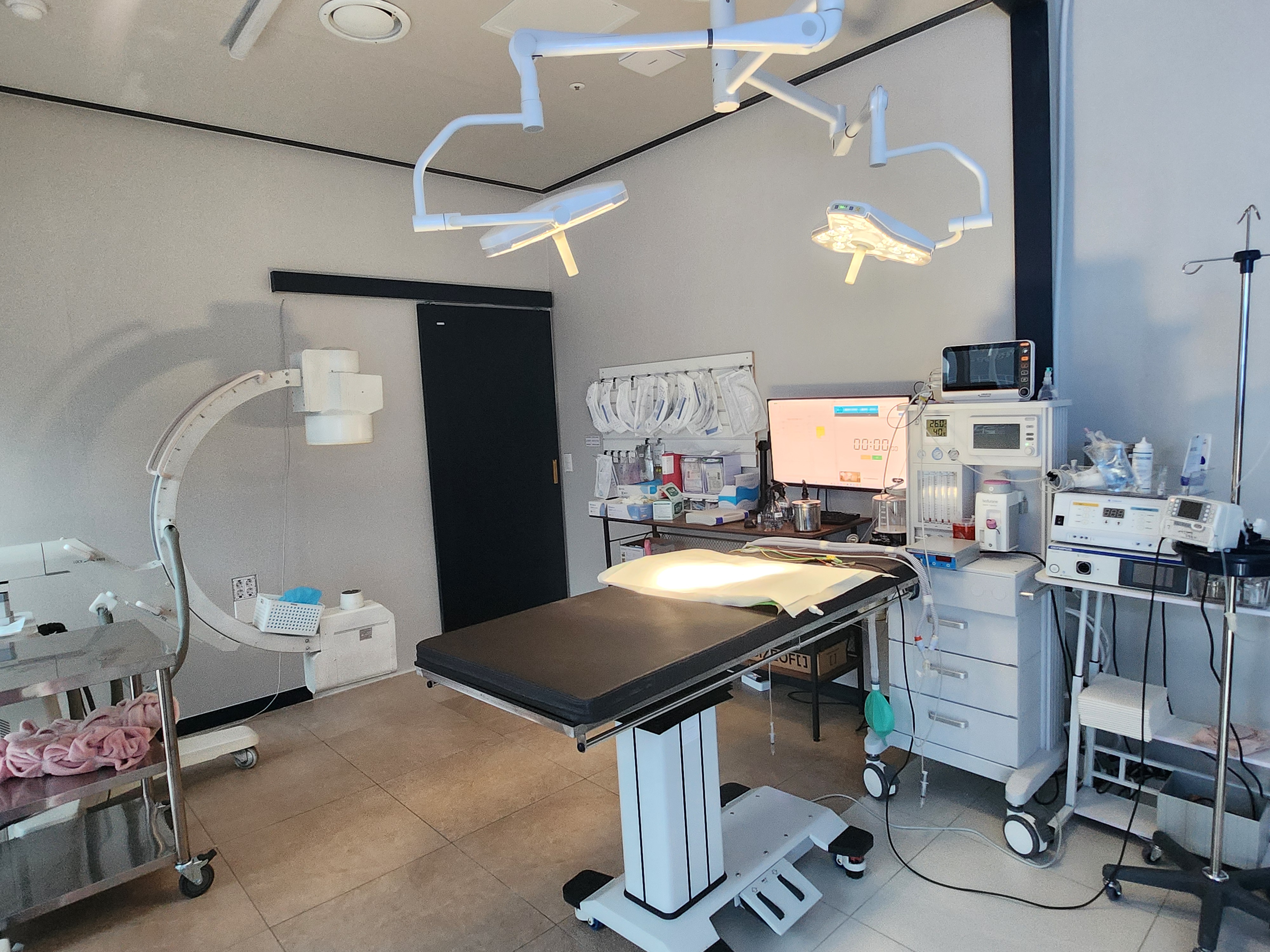 고양이 진료실 4