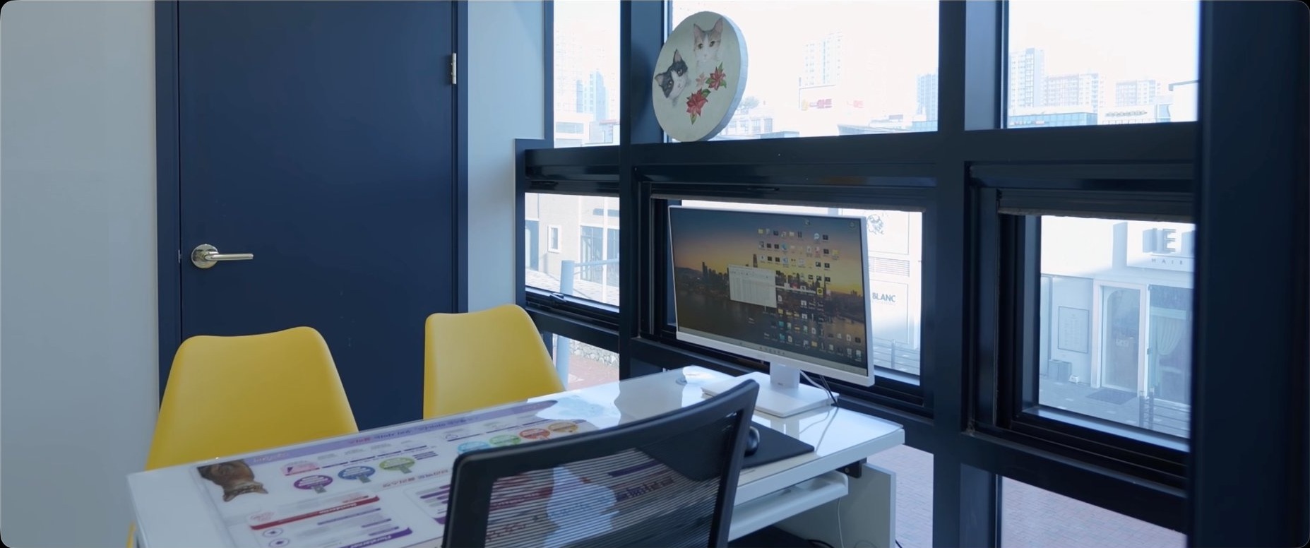 고양이 진료실 3